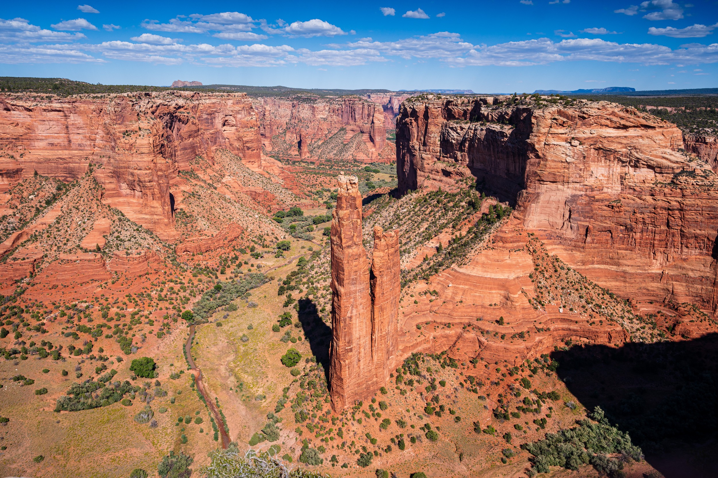 USA 2024 5 Sterne 80